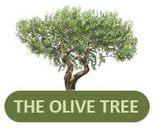 olive tree logo